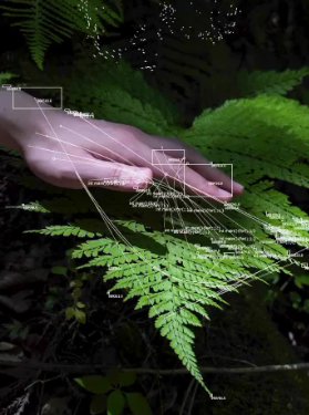 Understanding Frequencies: The Invisible Language of Energy